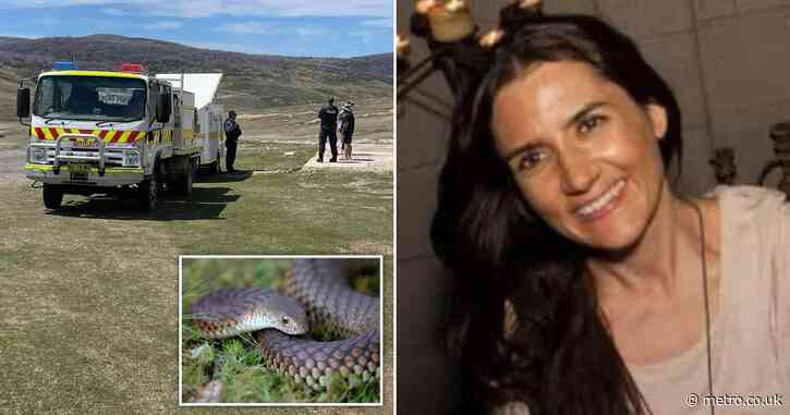 Missing woman survives snake bite after falling in freezing wilderness