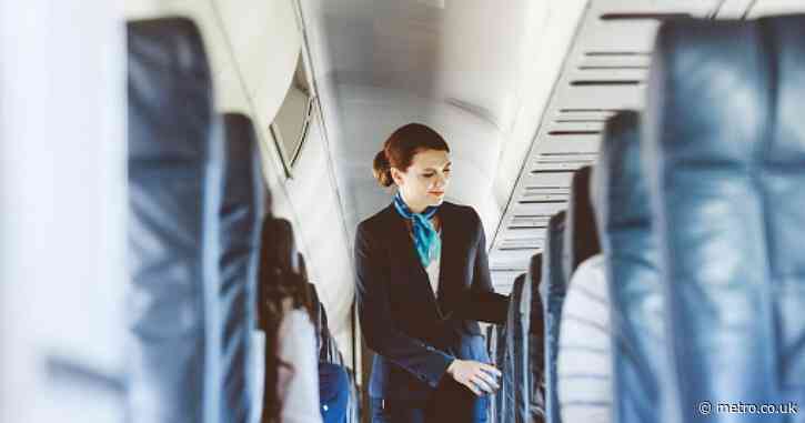 Flight attendant reveals secret plane feature that solves common travel problem