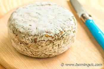 Sophisticated fraud results in loss of &#163;300,000 worth of artisanal cheese