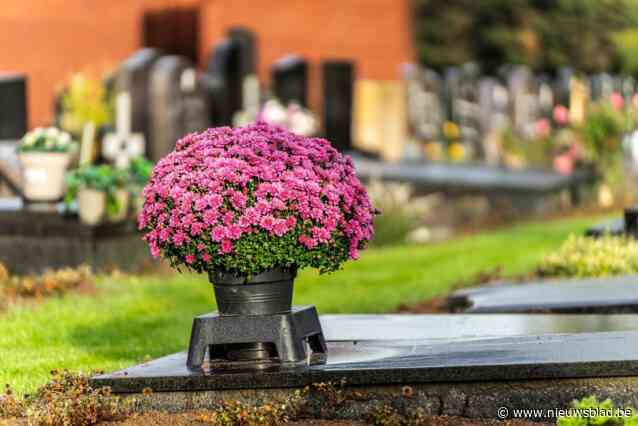 Lokaal bestuur Nijlen voorziet pottenhouders voor chrysanten tijdens Allerheiligen