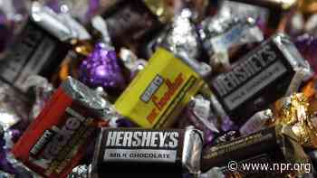 Why you’re seeing scary-high chocolate candy prices this Halloween