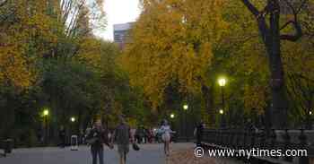 Autumn in New York Has Been the One of the City’s Driest Ever