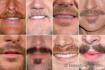 Can You Guess Who These Country Music Mustaches Belong To?