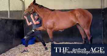 Via Sistina limbers up before Cox Plate win