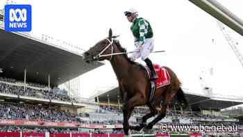 Melbourne Cup favourite Via Sistina ruled out of the race following Cox Plate win