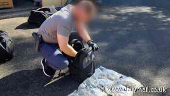 Bluey coins recovered from Western Sydney self-storage unit