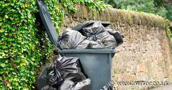 People are 'today years old' after discovering clever trick to replace bin bags