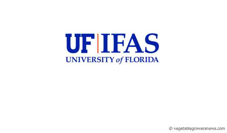 UF research shows herbicide plus fertilizer equals fewer weeds, more tomatoes