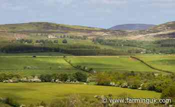 Two wildlife charities buy 3,800-hectares worth of Rothbury Estate