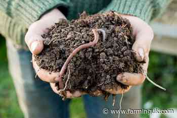 Land management greatly impacts soil organic levels, data suggests