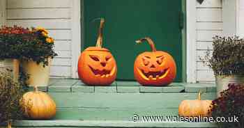 Mum's easy pumpkin carving hack for kids and how to make them last longer