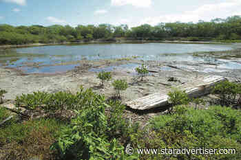 City panel mulls future of historic Ordy Pond