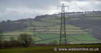 Pylon discussion being 'kicked into the long grass', claims cabinet member