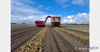 Winst van over de 6 miljoen voor HZPC ondanks klimatologische uitdagingen