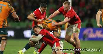 Lions legend Graham Price predicts exact scoreline of Wales, England, Ireland and Scotland autumn Tests