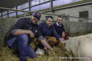 Cathemse pastrami maakt kans op titel ‘Hét product van Vlaams-Brabant’