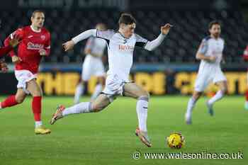 Josh Ginnelly and Sam Parker update as pundit hits Swansea City nail on head