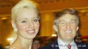 Beauty queen claims Donald Trump groped her after luring her back to suite at New York's Plaza Hotel