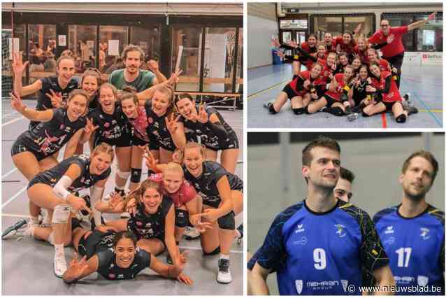 VOLLEYBABBELS. Vamos houdt geslaagde repetitie voor bekerclash, Gimme dendert door competitie en Oudegem B manifesteert zich als giant killer