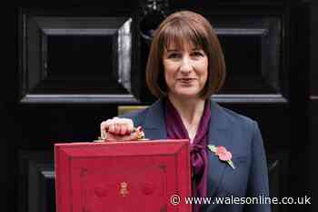 Was Rachel Reeves trolling the Conservatives with Margaret Thatcher references during her budget speech?