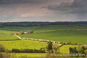 Agricultural property relief &#39;severely curtailed&#39; in government&#39;s budget