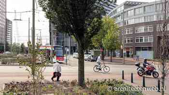 Vernieuwd Piet Heinplein grote winnaar Haagse Openbare ruimte Prijs 2024