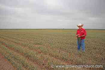 How Dixondale Farms Is Aiming To Protect Its Legacy