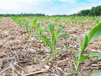 How can alternative proteins and regenerative agriculture work together?