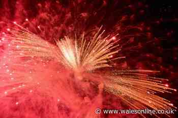 Bonfire night 2024 firework displays and events in and around Cardiff