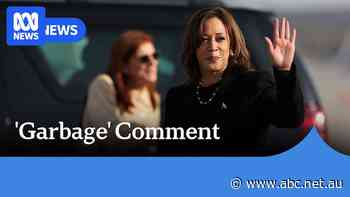 Biden’s ‘garbage’ comment: Harris distances herself, Trump lashes out