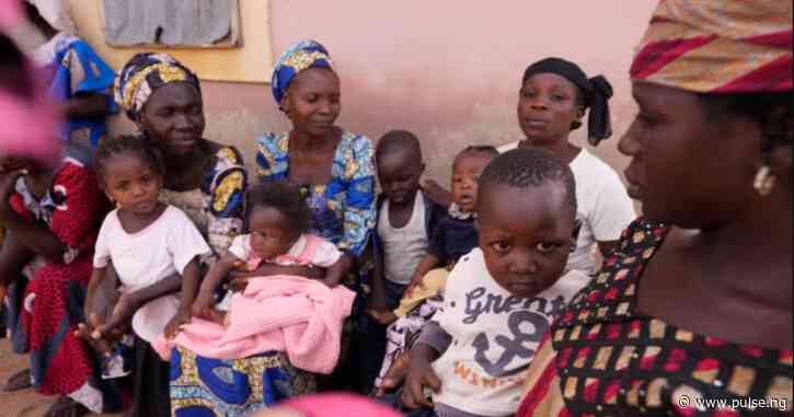 Nigerian women now give birth to fewer babies as fertility rate drops to 4.8