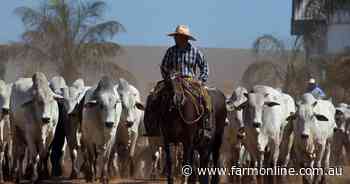 A world without cows: hungrier and hotter and no Yellowstone or Territory