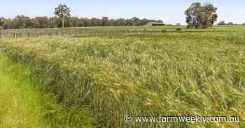 Attention-grabbing Bindoon cropper ideal for a down-sizing Wheatbelt farmer