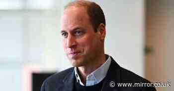 Prince William leaves viewers in tears with 11-word vow to public in 'memory of Diana'