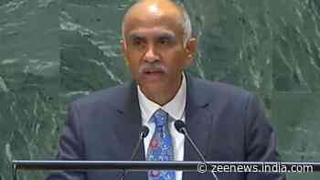 `Ready To  Do More  For Palestinians People`: India At UN On Middle East Situation