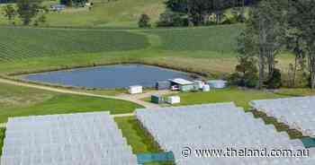 Exceptional certified organic farming asset with irrigation goes to auction