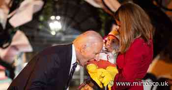 Joe Biden bites baby's leg and sticks tot's foot in his mouth as kids come dressed for Halloween