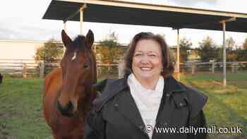 Gina Rinehart issues a warning to Australia about one of the Albanese government's major plans - as she announces ambitious new deal