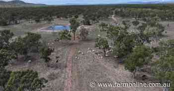 Productive coastal plains cattle country sold after auction | Video