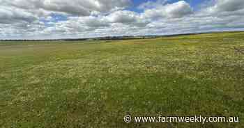 San Martino offers 1380ha for crops and grazing in reliable rainfall zone