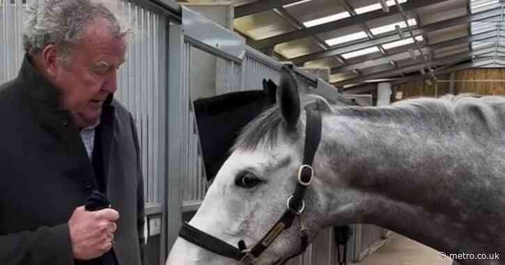 Jeremy Clarkson forced to fend off horse from ‘smelling his testicles’