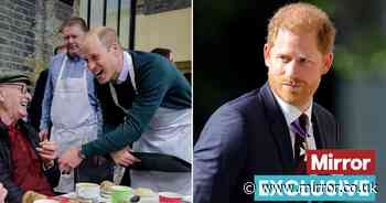 Prince Harry 'blinded by sour grapes' as Prince William's ITV show 'proves him wrong'