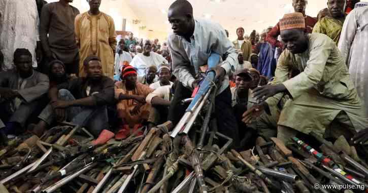 Senator Ned Nwoko backs arms carrying by citizens to fight insecurity