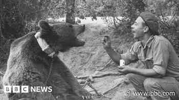 The bear who was a private in the Polish army