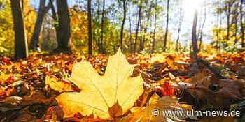 Wetter-Oktoberbilanz: Mild, aber nicht überall golden