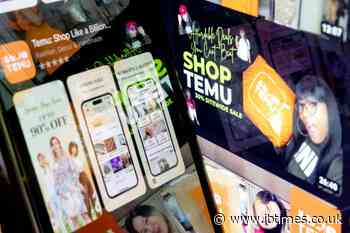 EU Probes Shopping App Temu Over Illegal Products