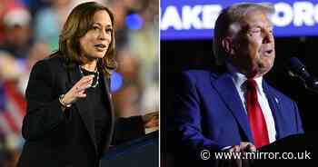 US election poll tracker: Who is ahead in Donald Trump v Kamala Harris White House race?