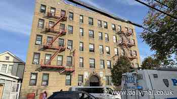 Newborn baby with umbilical cord still attached is found dead outside New York City apartment building