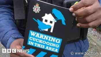 'Cuckooing' suspects arrested in city crackdown