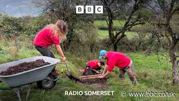 Glastonbury Tor workers appeal for volunteers